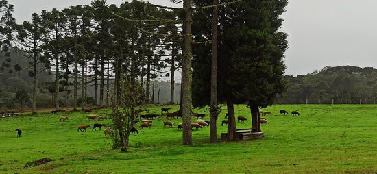 Pousada Butia Ecoturismo主图