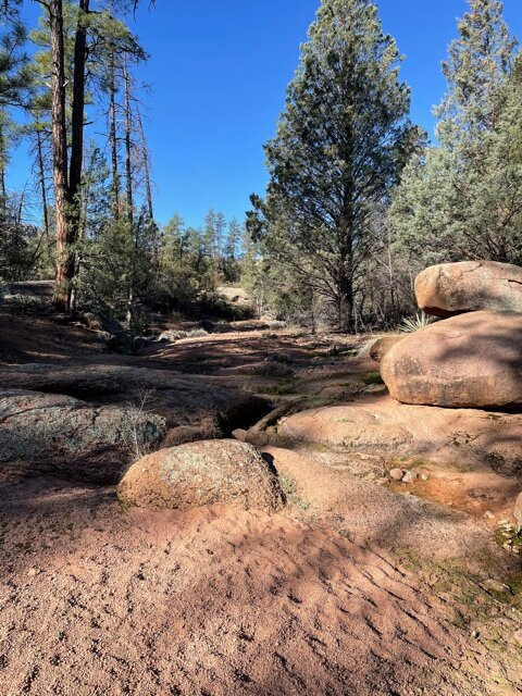 Cypress/boulders Trail