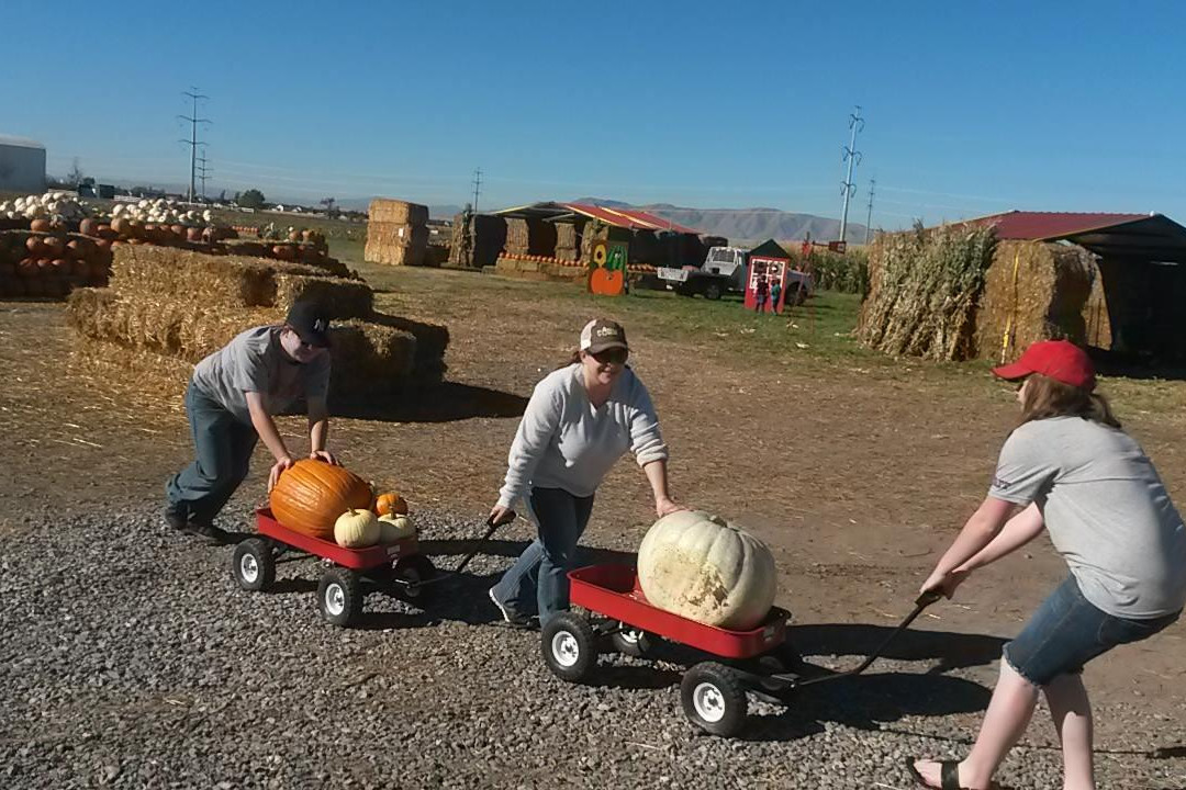 Jaker's Pumpkin Patch