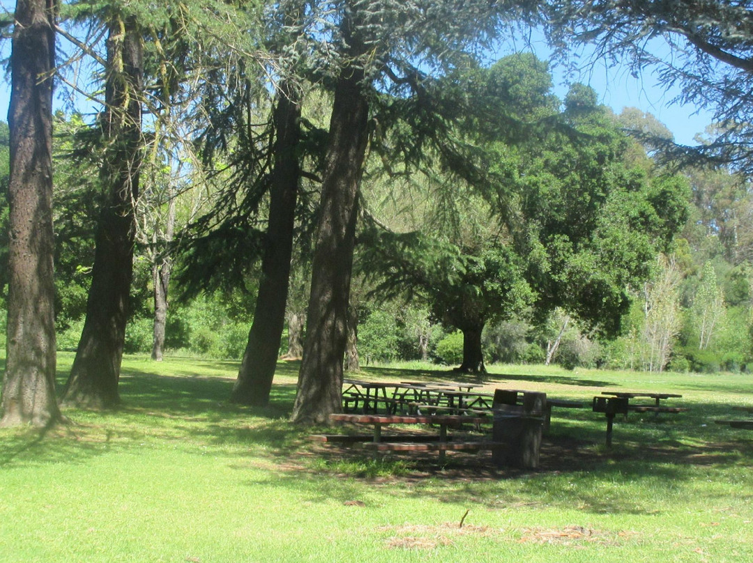 Roberts Regional Recreation Area-奥克兰必去景点