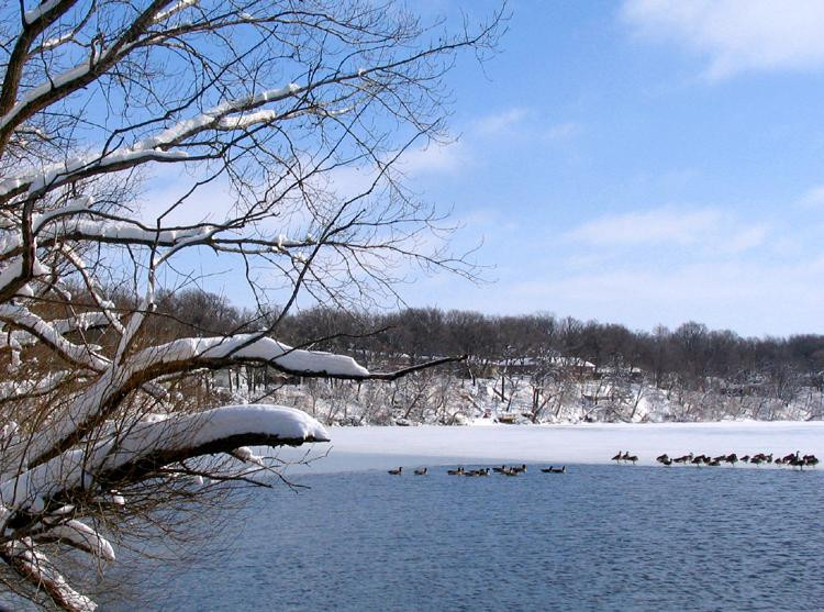 Amber Lake Park景点图片
