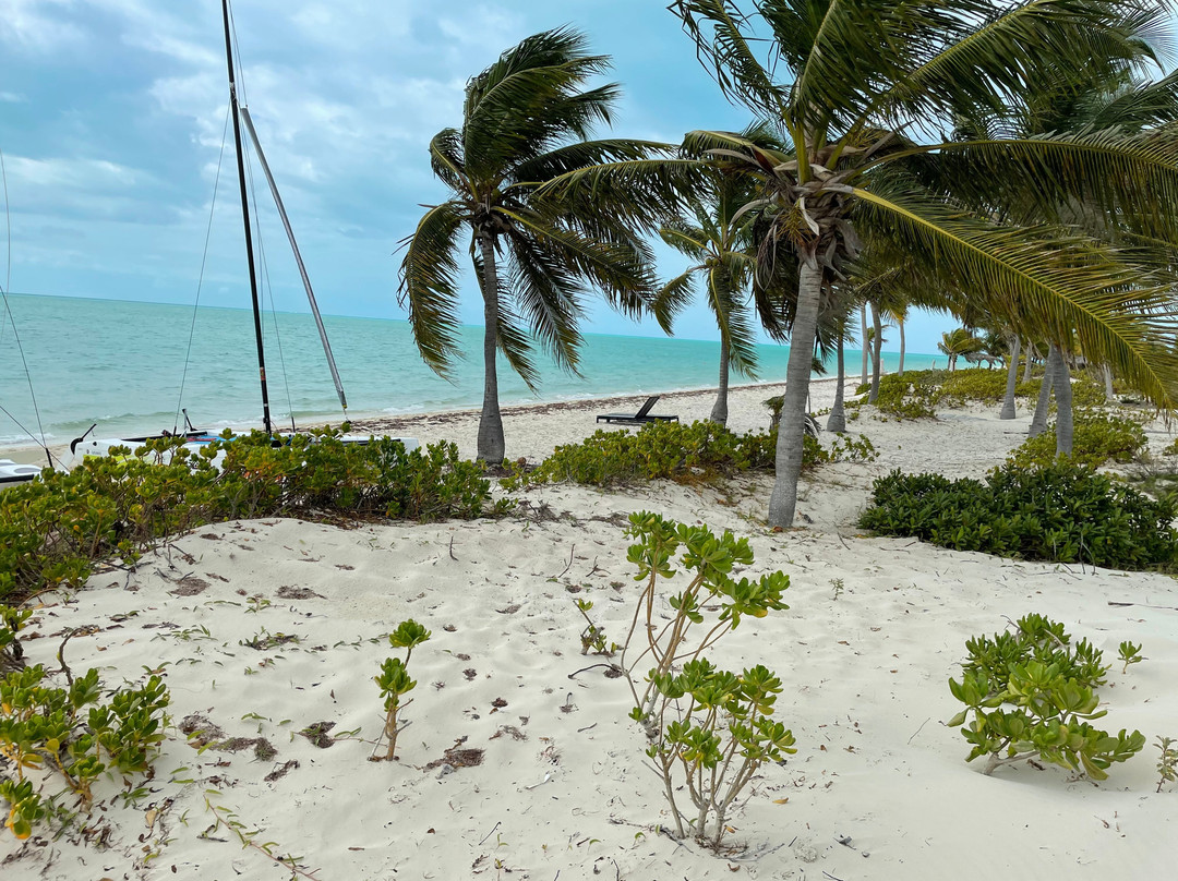 H2O LifeStyle Resort主图