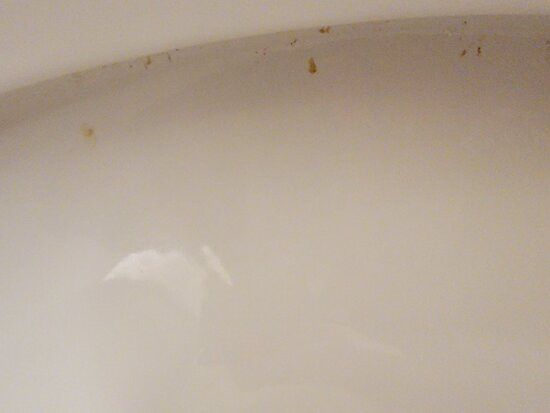 代顿酒店住宿-Holiday Inn Express & Suites Dayton SW - University Area by IHG