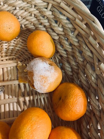 Super 8 by Wyndham Midlothian/Richmond Area主图