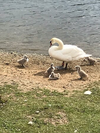 Queen Elizabeth II Country Park-Ashington必去景点