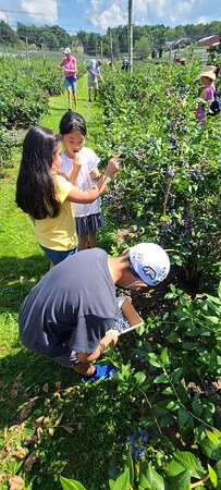 Belltown Hill Orchards-South Glastonbury必去景点
