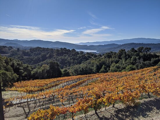 Amizetta Estate Winery-圣海伦娜必去景点