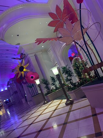 River City Casino & Hotel-官方