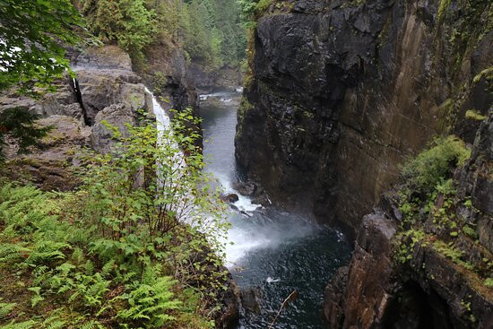 Elk Falls Suspension Bridge景点图片