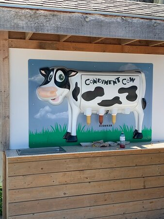 Downey's Farm-卡利登必去景点