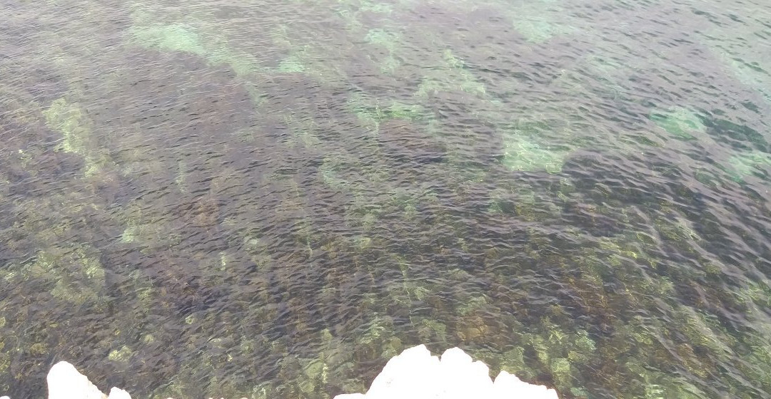 Spiaggia La Grotta-比谢列必去景点