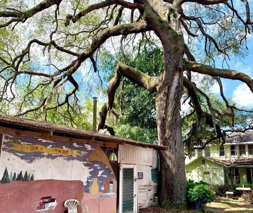 Bayard Antique Village-杰克逊维尔必去景点