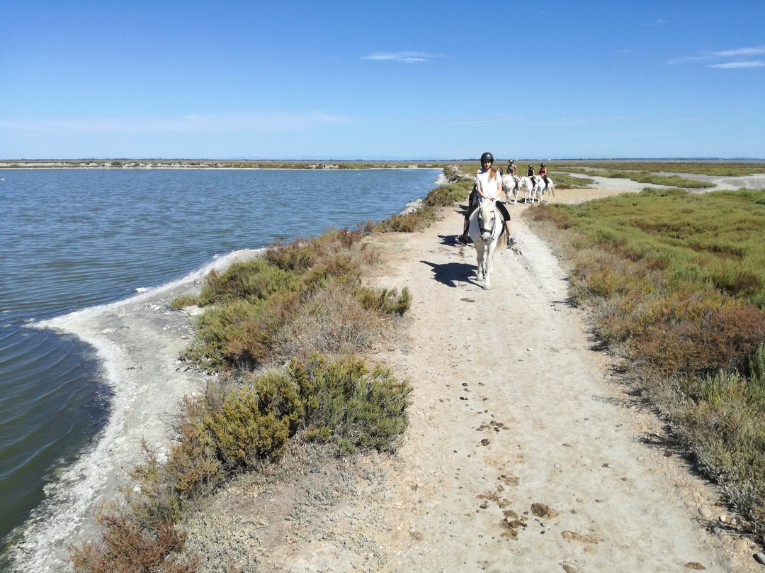 Albaron旅游攻略图片