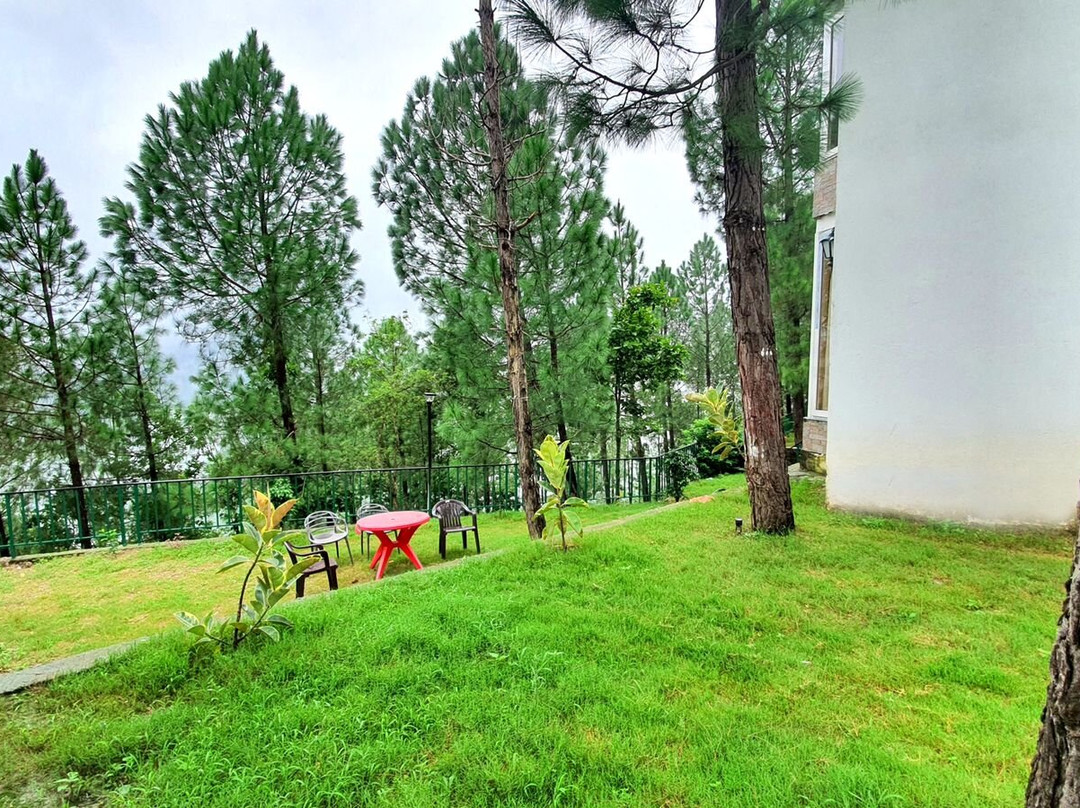 Bluepine Orchard主图