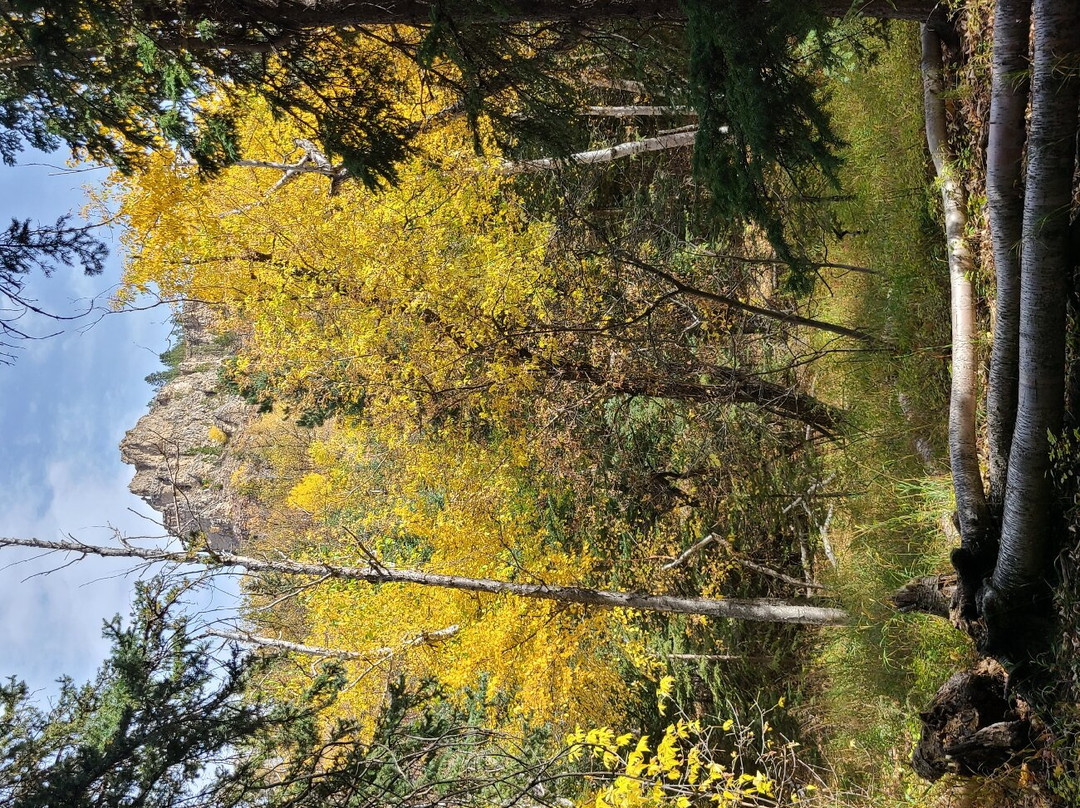 Little Spearfish Trail