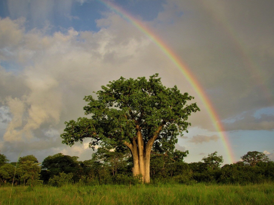 Sukulu Reserve-李文斯顿必去景点