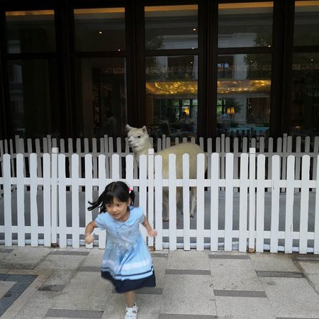 朱家尖绿城威斯汀度假酒店主图