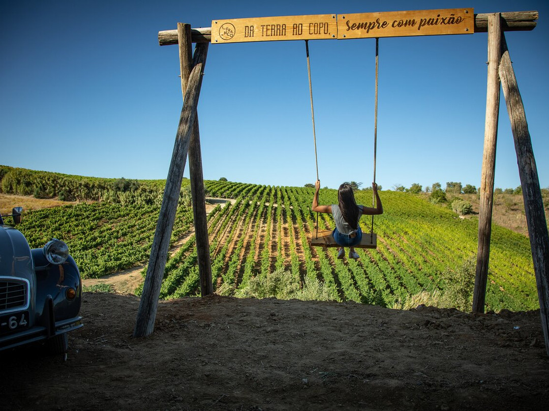 Vinhos Franco景点图片