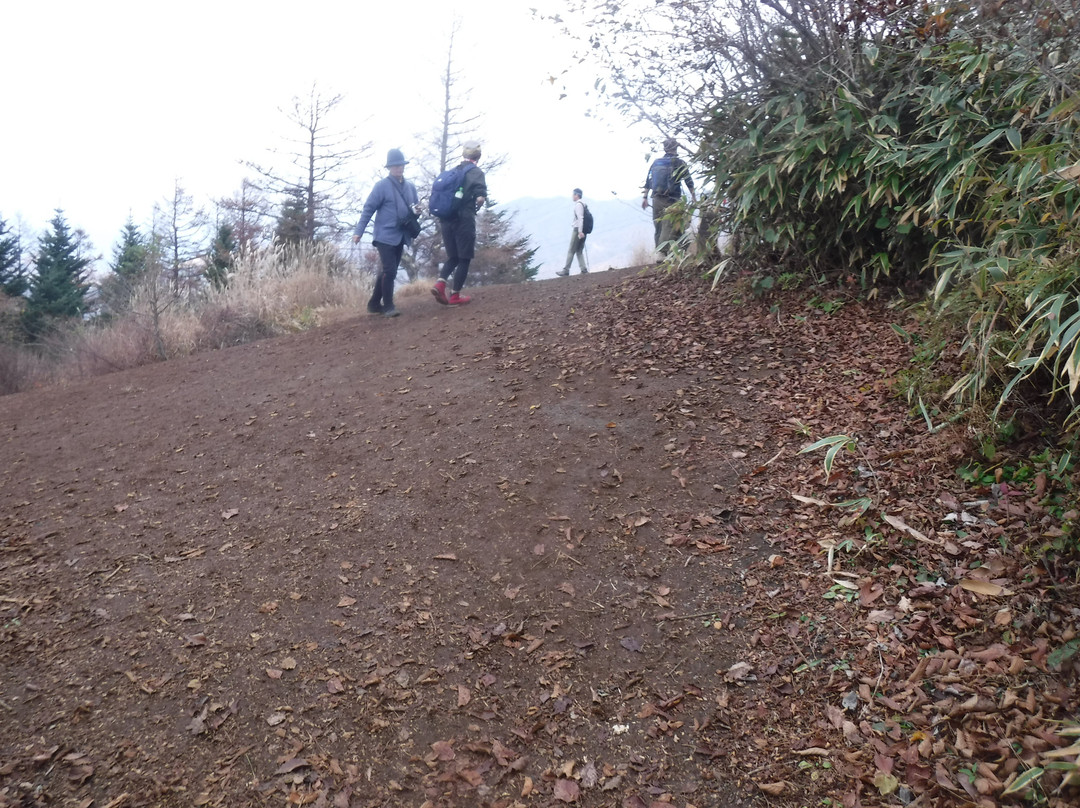 Yamanakako Hiking Course景点图片