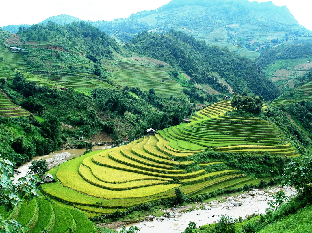 Mu Cang Chai旅游攻略图片