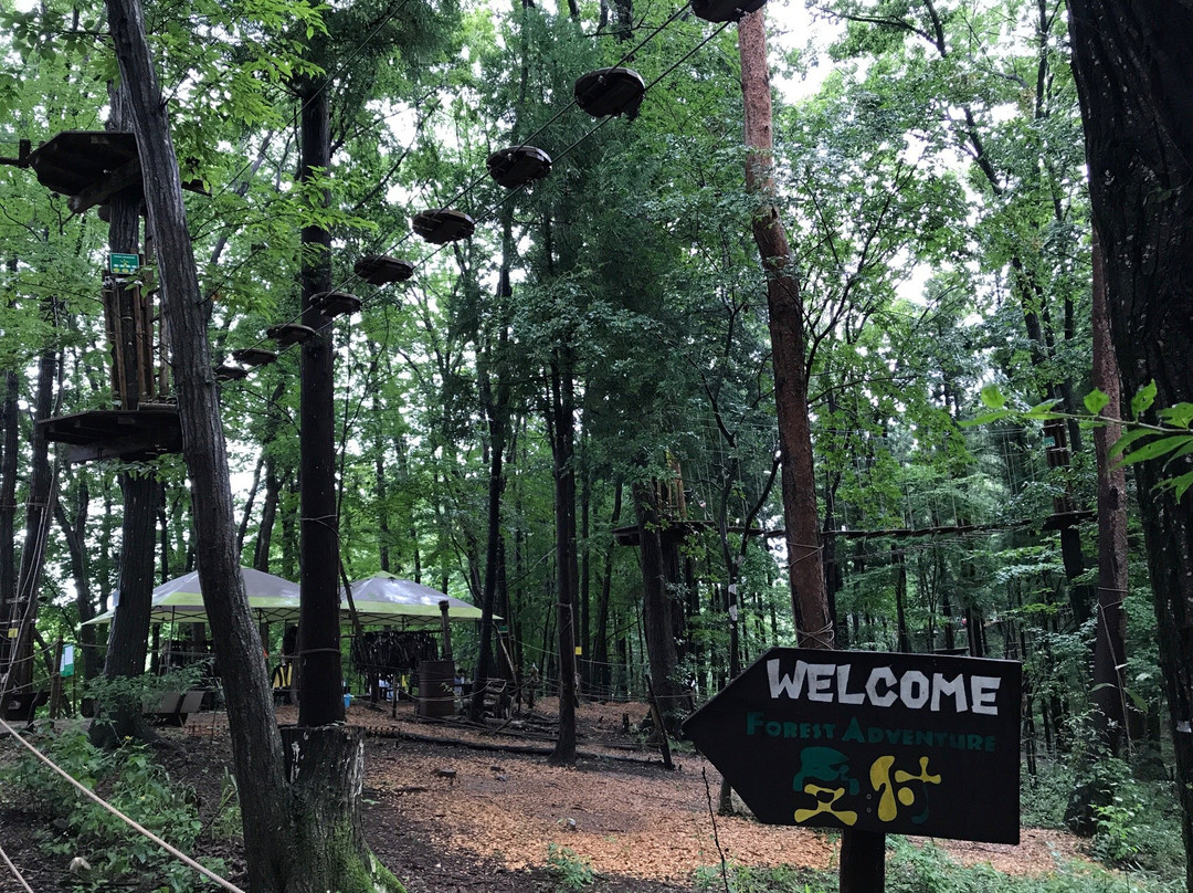 Forest Adventure Chichibu-秩父市必去景点