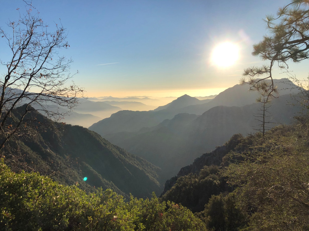 维塞利亚旅游攻略图片