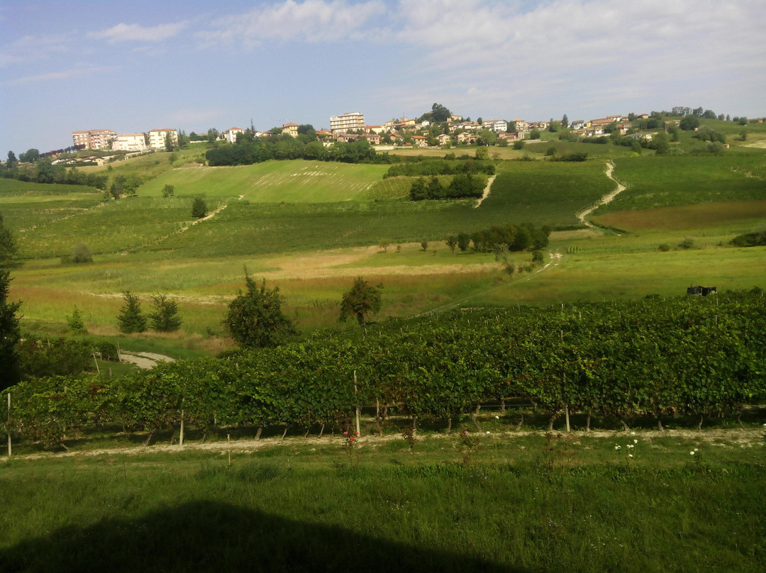 Agliano Terme旅游攻略图片