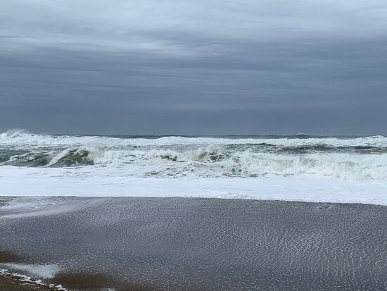 Gleneden Beach State Park-Gleneden Beach必去景点