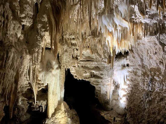 萤火虫汽车旅馆主图