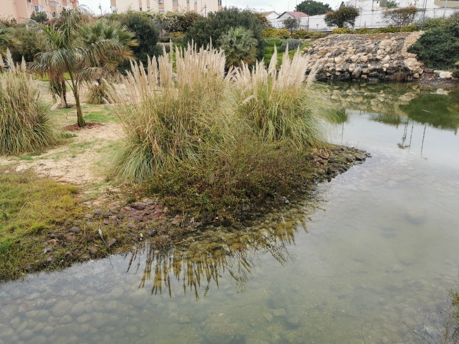 Parque Forestal Juan Carlos I-梅利利亚必去景点