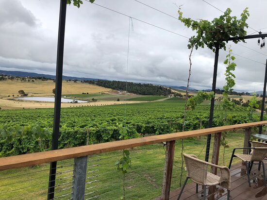 Yarra Valley Private Winery Tours-亚拉河谷必去景点