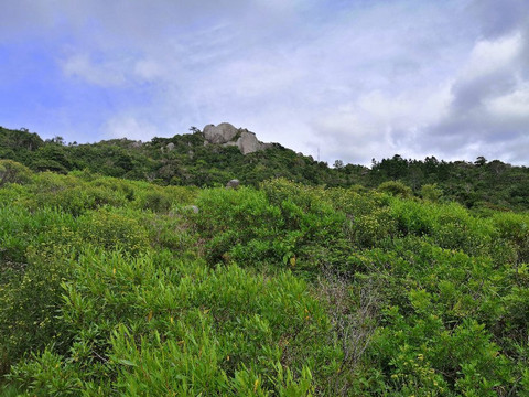 Praia do Gravatá-弗洛里亚诺波利斯必去景点