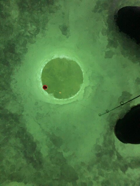 Elevated Fishing Adventures景点图片