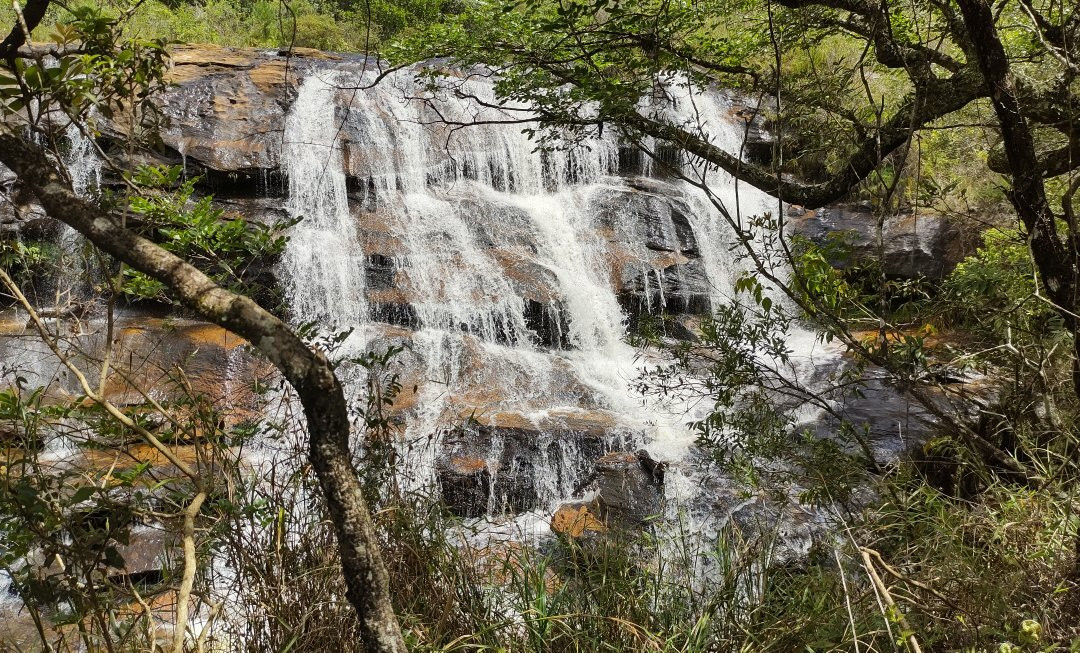 Parque Estadual do Cerrado景点图片