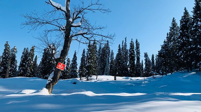 Online Holidays-斯利那加必去景点
