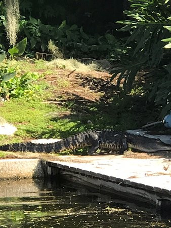 LEGOLAND Pirate Island Hotel - Florida主图