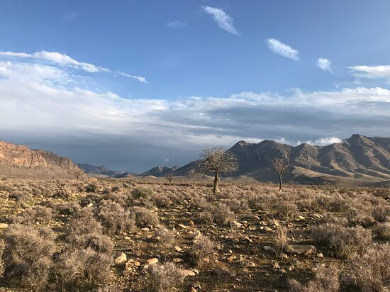 Bahman iran Nomad tour-Shiraz必去景点