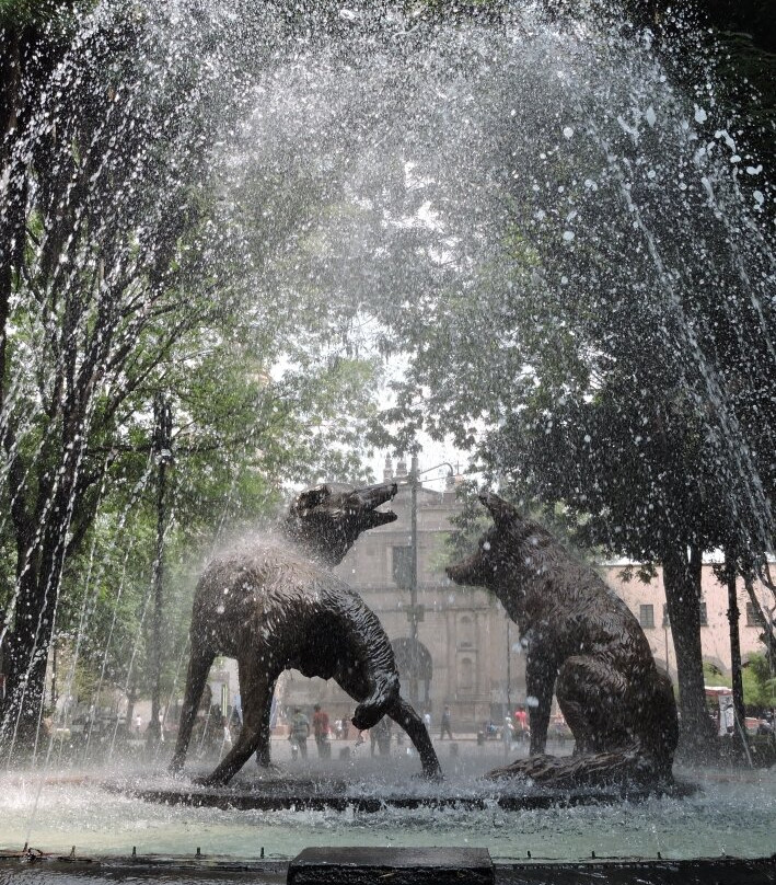 科约阿坎区-墨西哥城必去景点