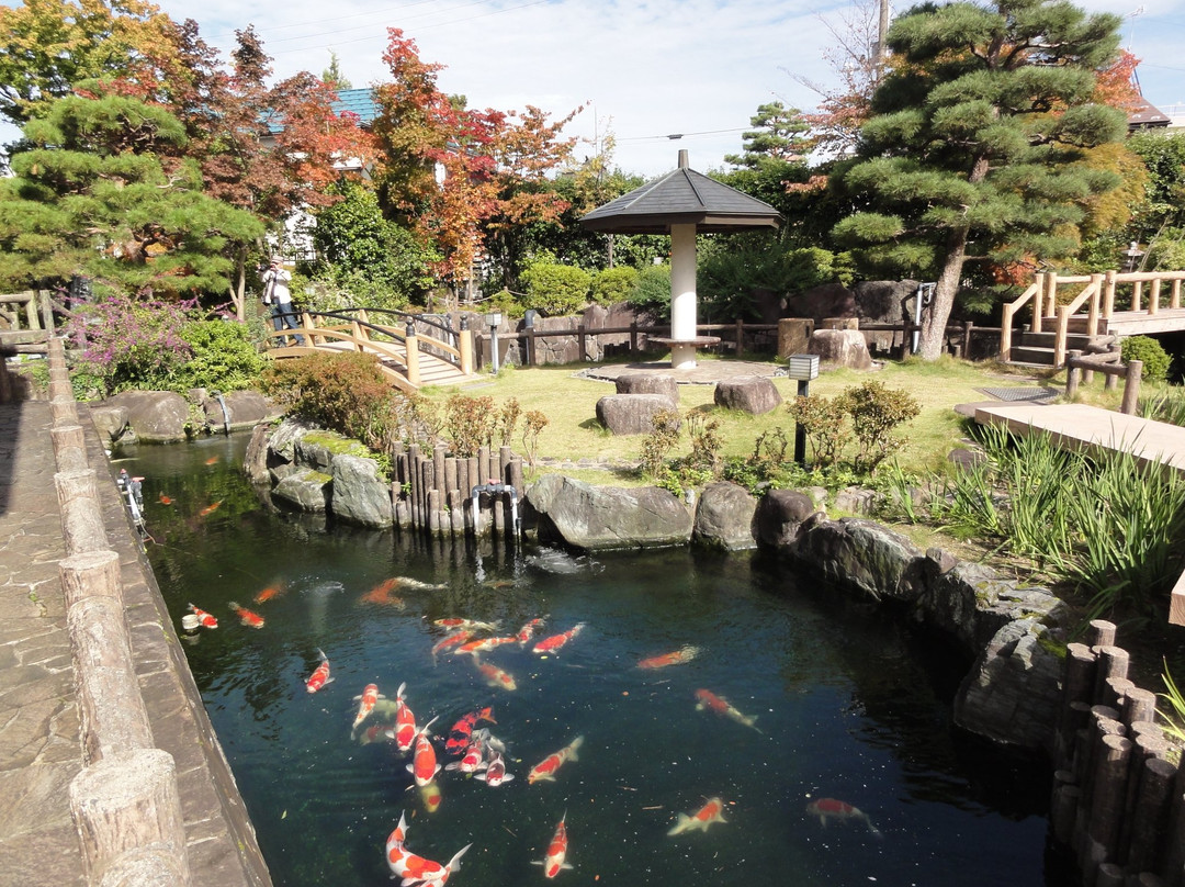 Nishikikoi no Sato景点图片