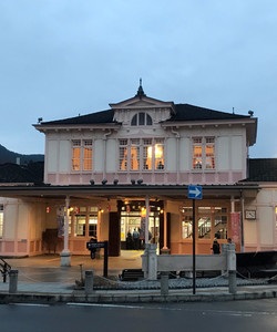 Nikko Station景点门票图片