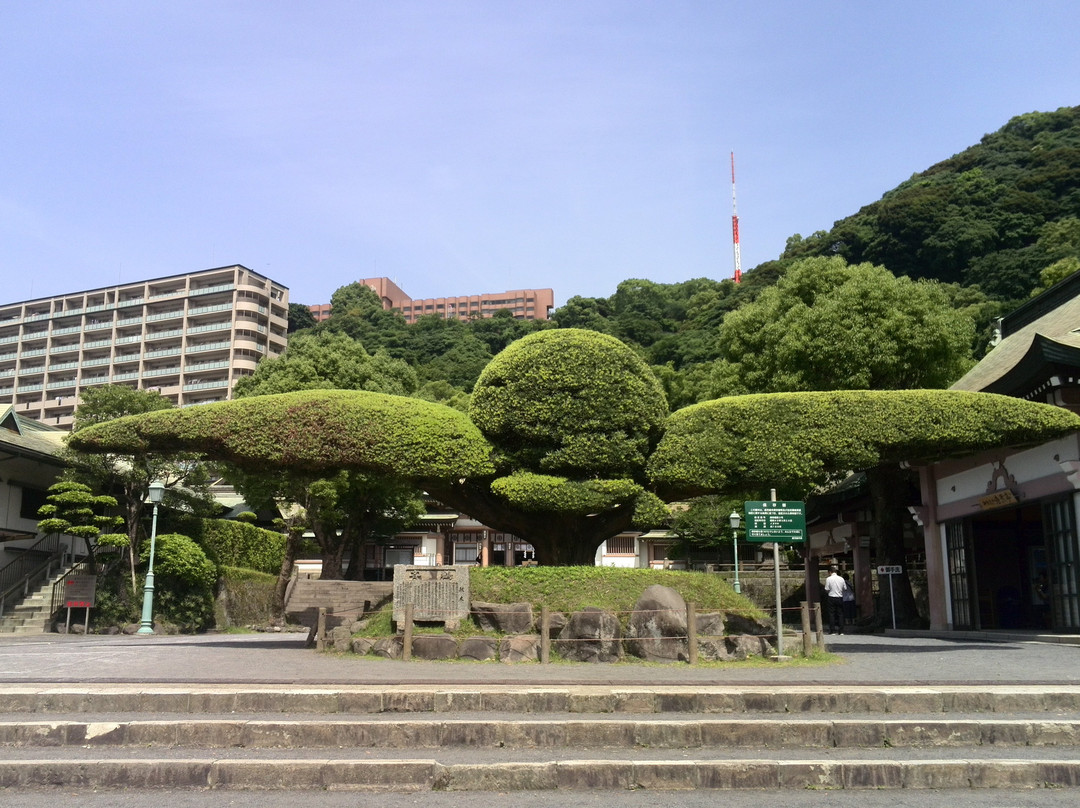 照国神社景点图片