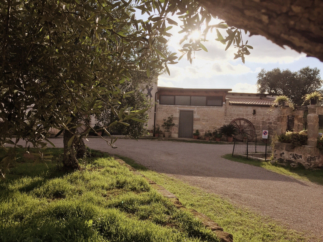 Galugnano餐馆和美食-Piccola Masseria Li Curti