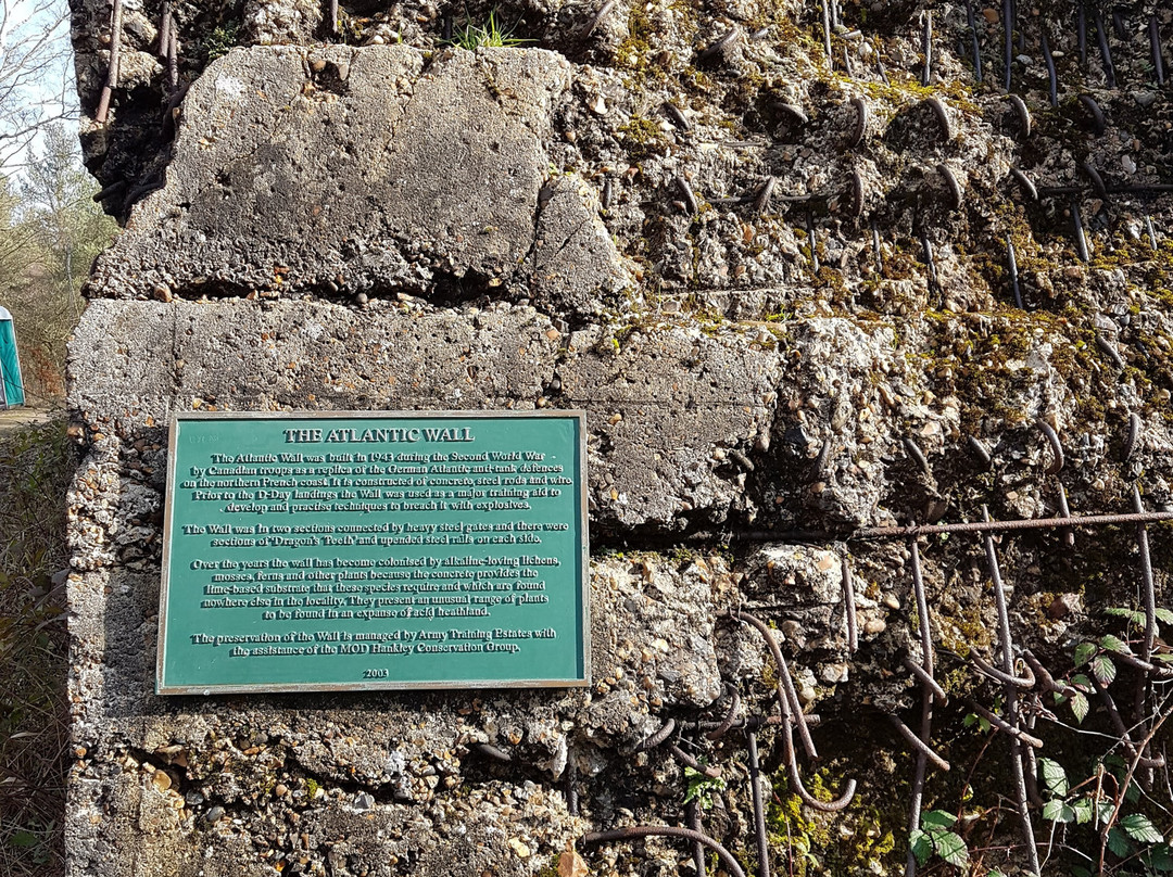 Tilford旅游攻略图片