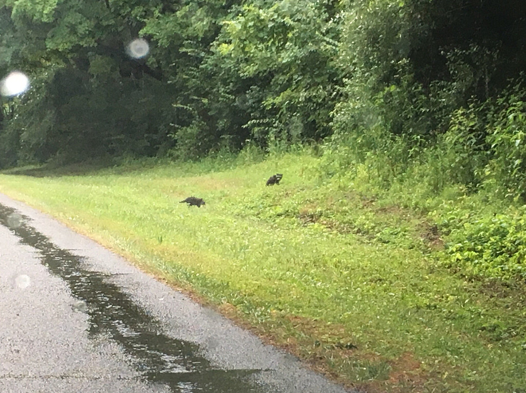 Stonelick State Park
