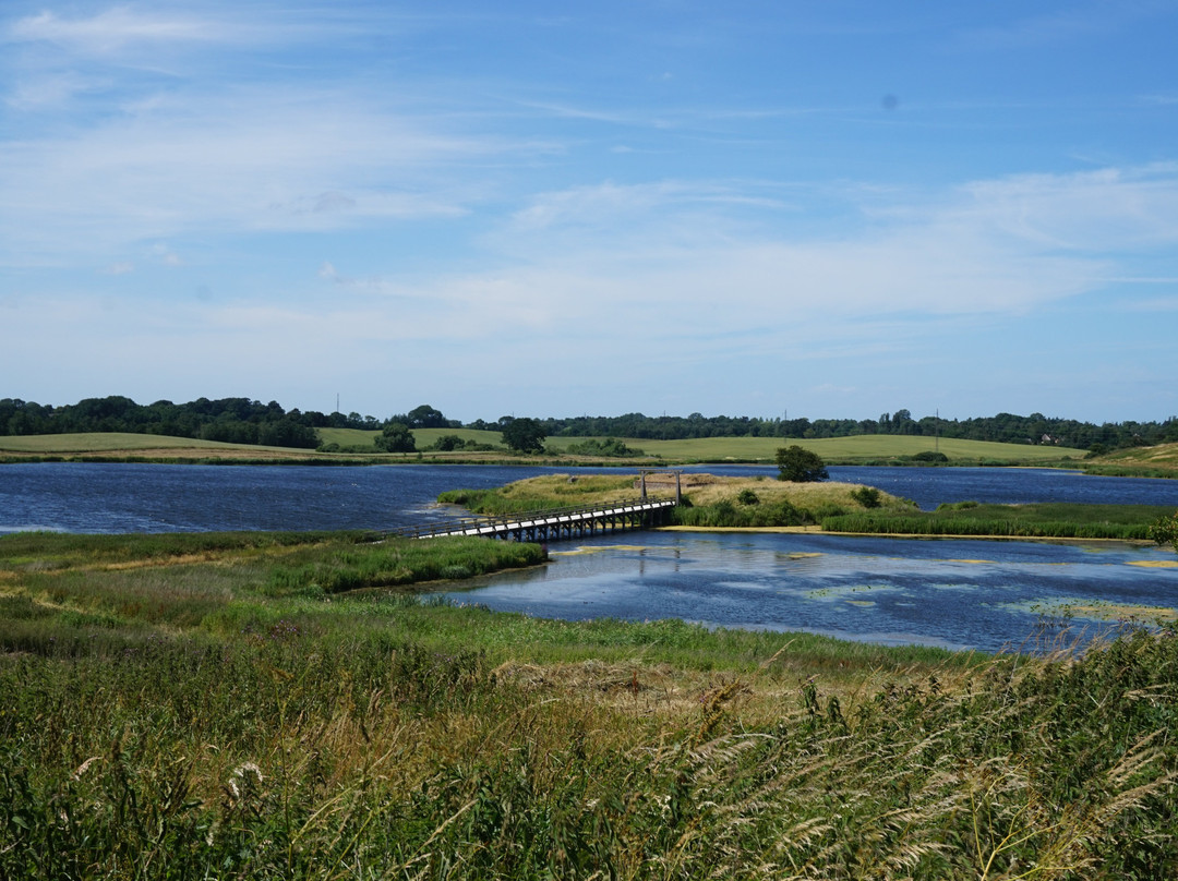 Næsholm Borgruin景点图片