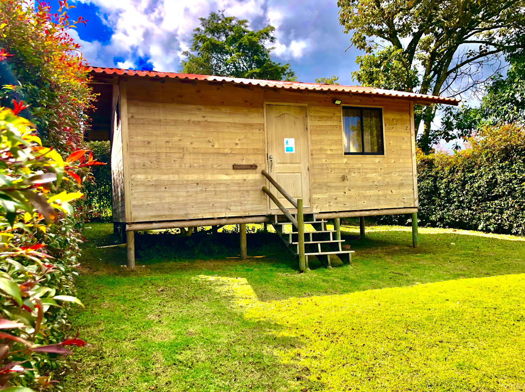Cabañas Crisantema