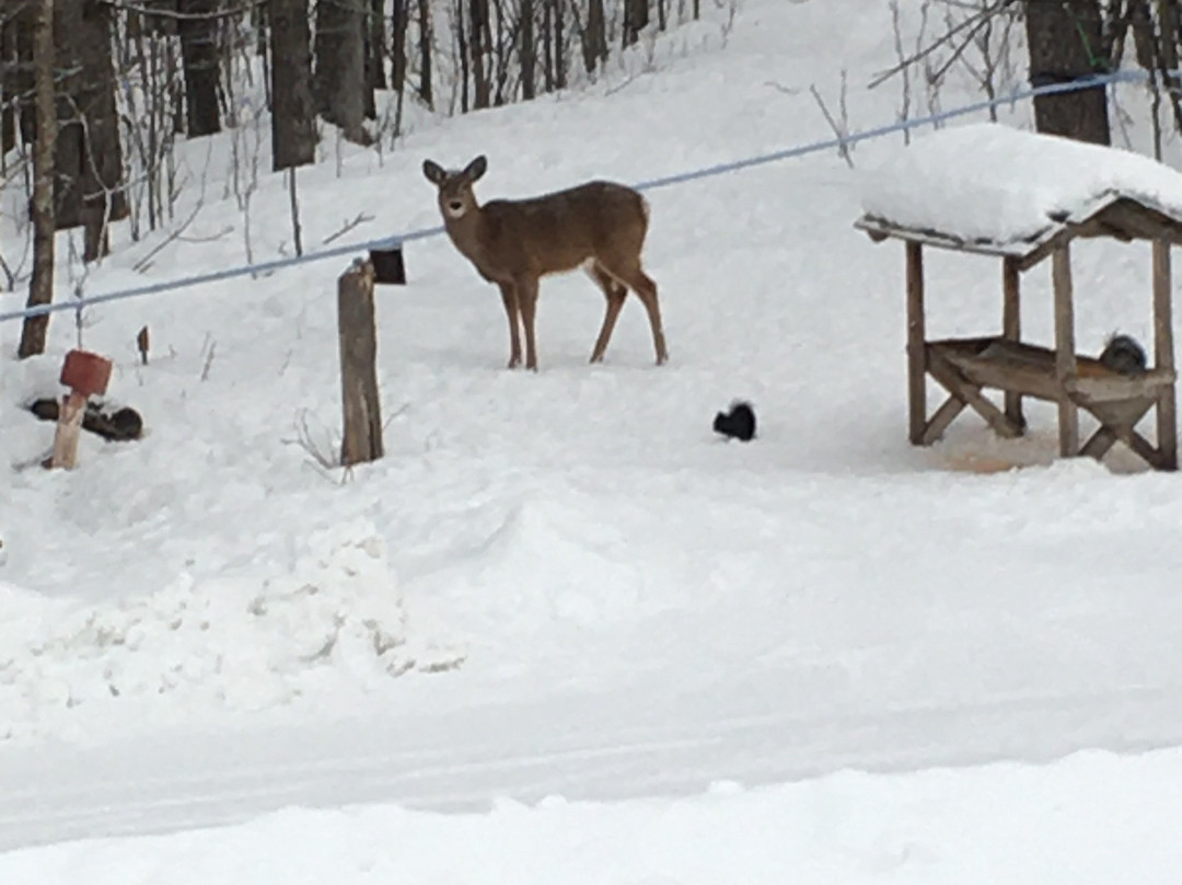 Auberge des Gallant Restaurant and SPA主图