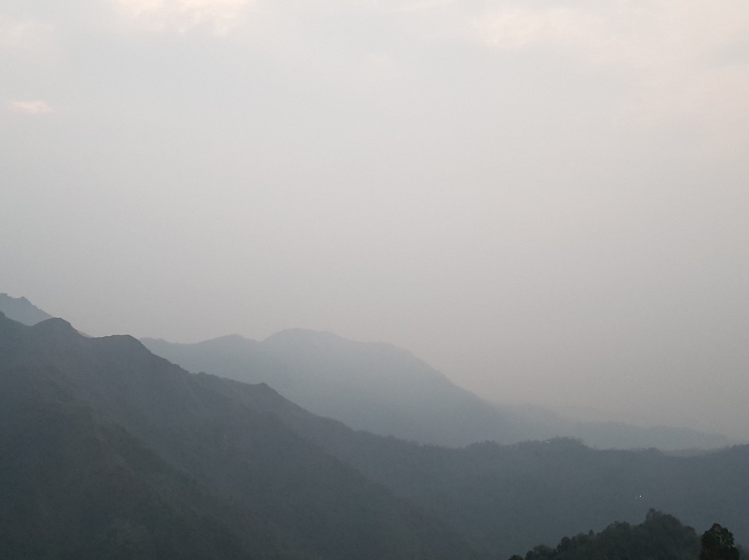 Makai Bari Tea Garden旅游攻略图片