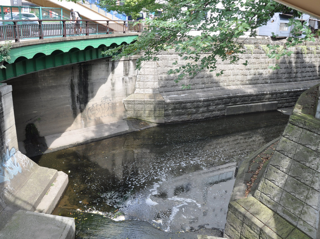 Shibuyagawa Furukawa Seiryu Fukkatsu no Hi Monument景点图片