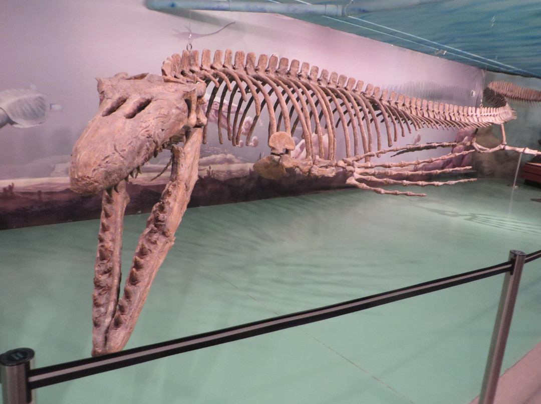 曼尼托巴省旅游景点-Canadian Fossil Discovery Centre